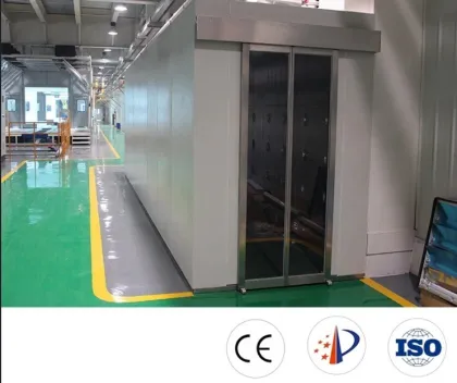 Double People Automatic Air Shower