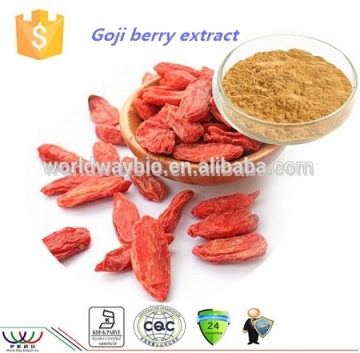 GMP Manufacturer Supply Goji Berry Extract/Wolfberry Extract with Lycium Barbarum Polysaccharides