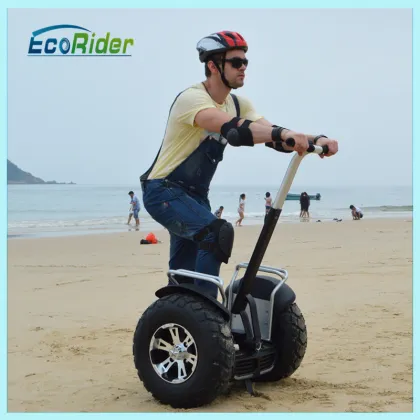 Xinli Escooter New Products Electric Cart, Electric Unicycle