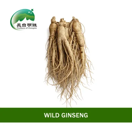 High Nutrition Healthy Ginseng