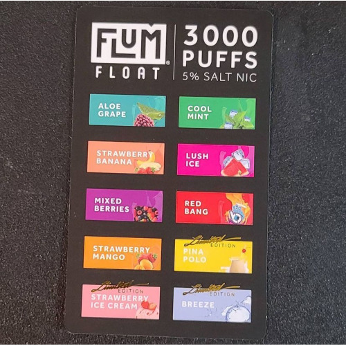 Flum float disposable vape 3000 puff