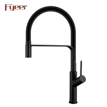 Fyeer Black Painted Pull Down Spray Kitchen Sink Faucet