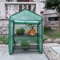 Skyplant kleines Gartengewächshaus für Zimmerpflanzen