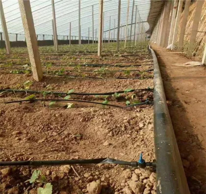 Drip Irrigation Systems for Garden Hose Watering and Irrigation