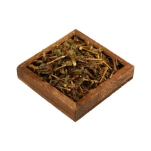 Fortune Eupatorium Herb Traditional Remedy