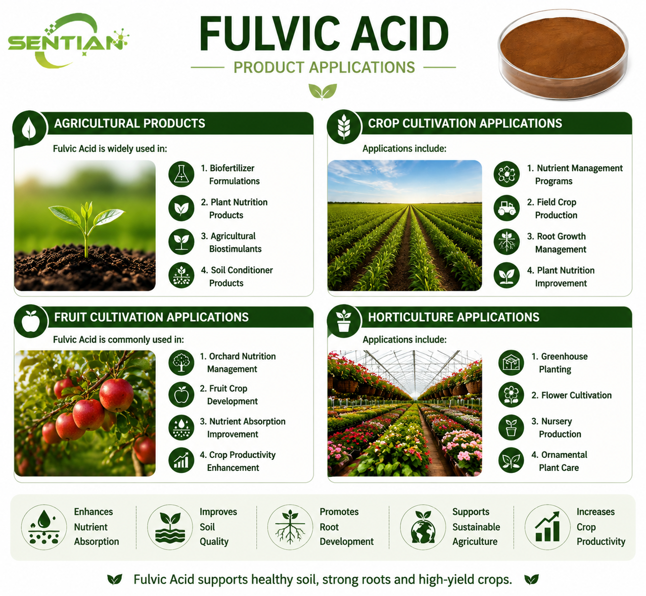 Fulvic Acid（2）