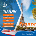Shipping Service To Europe Or Sea Freight Agent