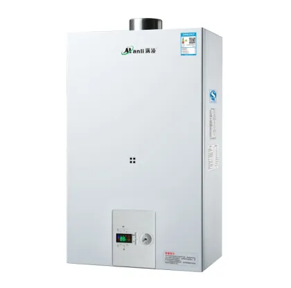 Household Wall-Mounted Gas Boiler for Central Heating (12L-16L)