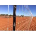 Granja de malla de alambre anudado galvanizado