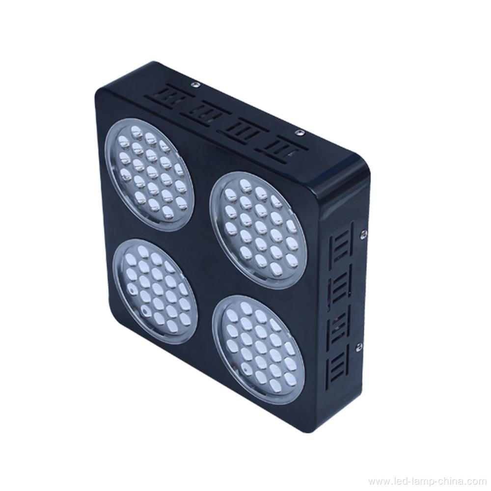 Hydroponic Vertical Led Grow Light