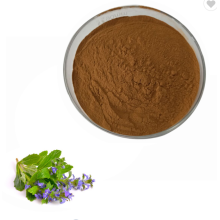 AMULYN Supply alfalfa extract powder alfalfa extract adalah