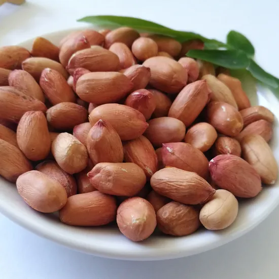 Shandong wholesales peanut kernels