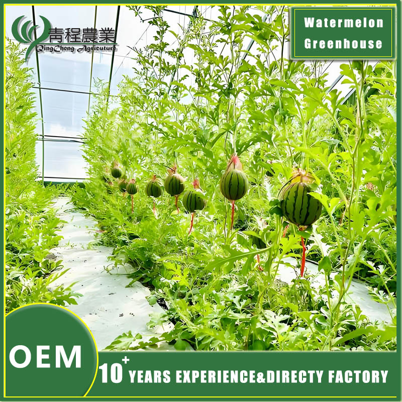 watermelon greenhouse cover