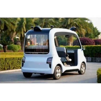 Intelligent sightseeing mobile robot