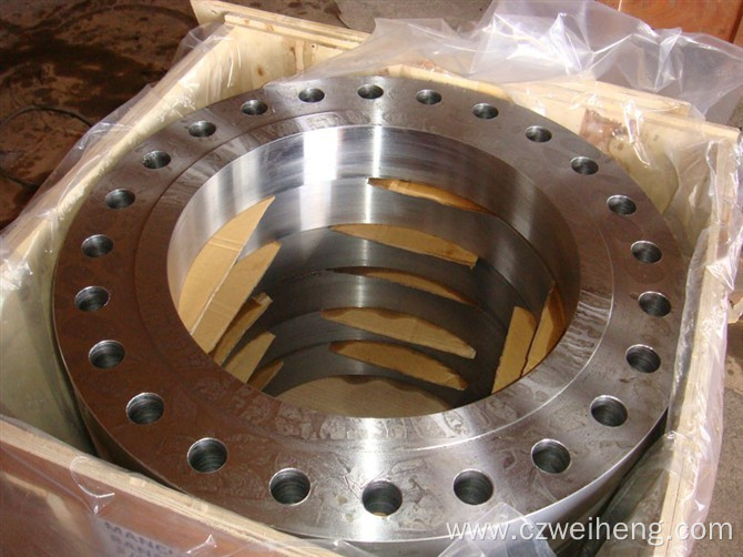 304/316L Sanitary Stainless Steel Pipe Flange