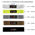 Lav MOQ Long Fabric Resistance Band Set