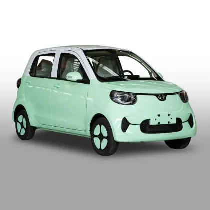 Popular Family Electric Vehicle Electric Car