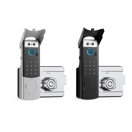 Smart Outdoor Waterproof Rim Face Recognition Door Lock