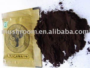 ganoderma lucidum spore powder