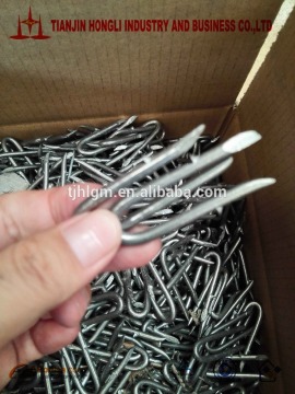 E.G. Barbed Staples U Shaped Nail or U Type Nail