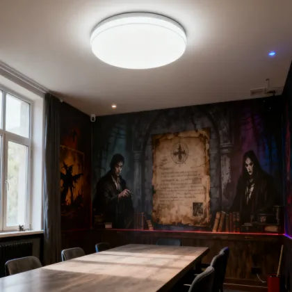 Smart Remote Control Ceiling Light