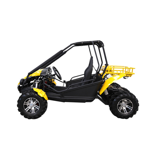 คาร์ทสำหรับผู้ใหญ่ 4x2 go buggy 2 ที่นั่ง