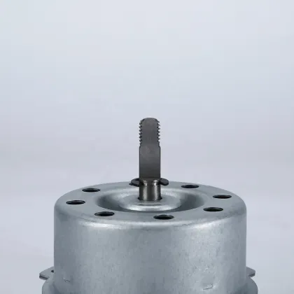 High Quality Customized Professional Motors for Household Appliances and Air Blowers