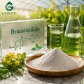 Regulador del crecimiento vegetal en polvo de brassinolida de alta pureza