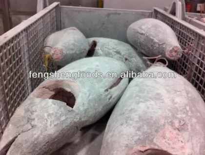 sashimi grade frozen bigeye tuna seafood