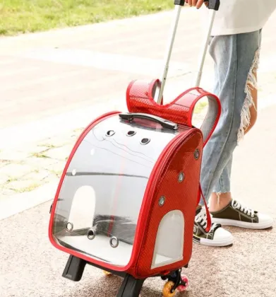 Big Space Folding Dog Backpack