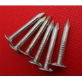 Galvanized Clout Nails for Construction Hot-dipped Galvanized Clout Nails Factory