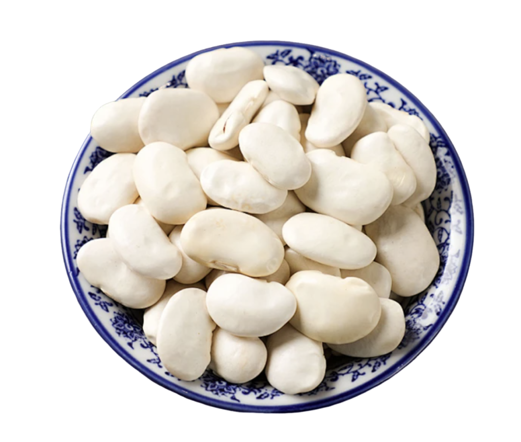White Kidney Bean Protein 90%