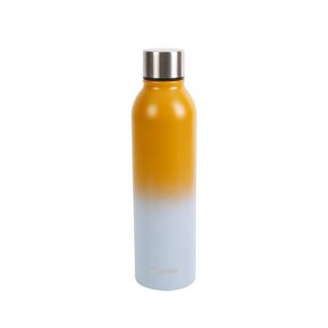 500 ml Doppelwall SS zweifarbige Farbe isoliertes Wasserflasche