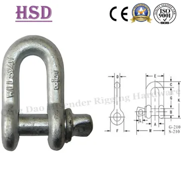 Us type Stright D Shackle