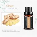 Ginger Essential Oil For Massage Losing Weight FatBurning