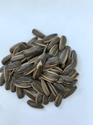 Pecan Flavour sunflower seeds