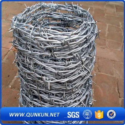 Thorny Fence tool Vs Wild West