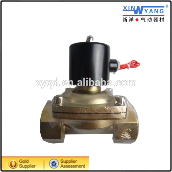 2/2Way DC24V/AC110V water solenoid valve 24v/2 way direct acting solenoid valve