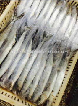 New Arrival Good Quality Frozen Fish Spanish Mackerel 180-250g