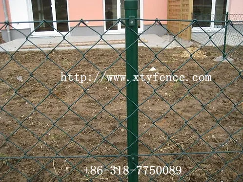 protective wire mesh