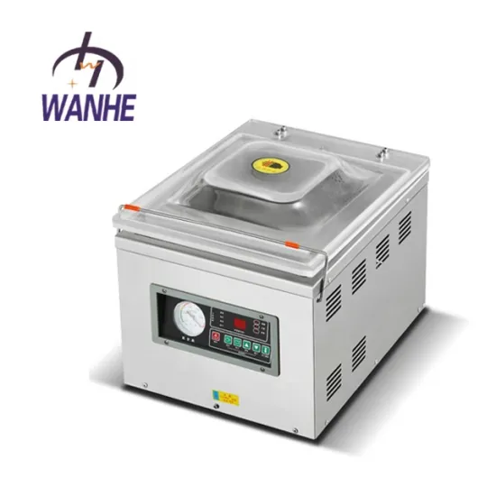 Wanhe Factory DZ-300 Household Small Single Chamber Food Vacuum Packing Machine