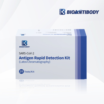 Kit de detección rápida de antígeno SARS-CoV-2