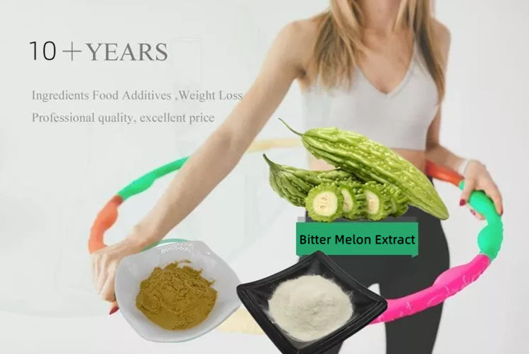 Bitter Melon Extract Powder