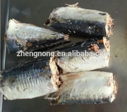 canned mackerel fish in 155g