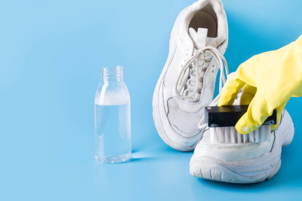 istockphoto-1178513140-612x612 istockphoto-1178513140-612x612