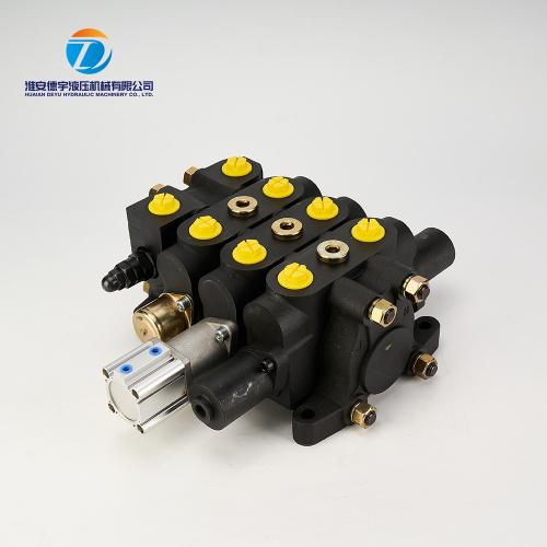 DL20 Hidrolik Manuel Çok Yollu Yön Valfi