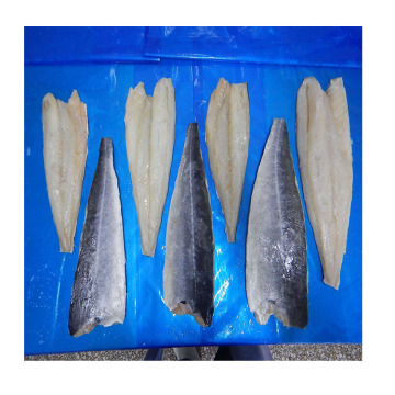 iqf frozen saithe fillet,high quality wholesale fish frozen fillet of saithe,high quality light salted iqf saithe fillet