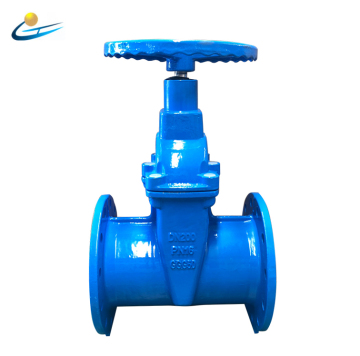 Big Size GGG50 ANSI Gate Valve with Rising Stem Price List - F5