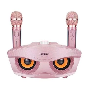 Großhandel SD306 20W Bass Sound KTV Tragbarer Karaoke Bluetooth -Lautsprecher mit Dual -Mikrofonen