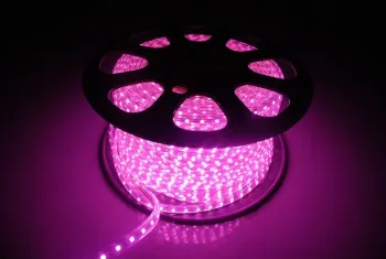SMD5050 DC220V LED Strip Light with Pink Lighting Hot Selling Best Price